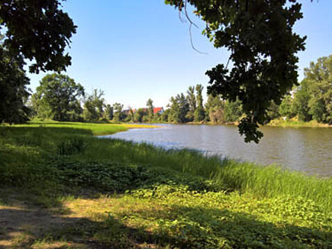 Alte Elbe Döbern